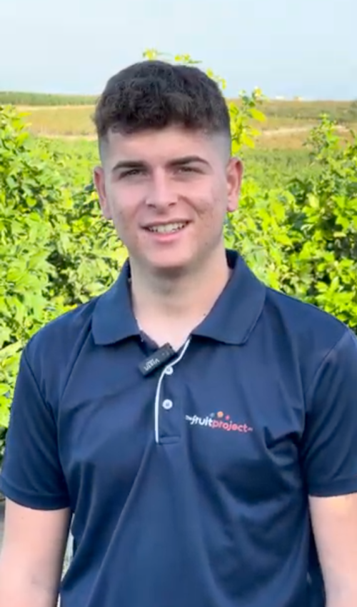 Hugo TheFruitProject