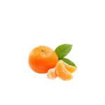 mandarinas-thefruitproject