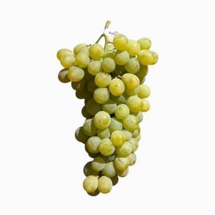 Uva Moscatel blanca en caja de 5kg