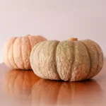 Calabazas - Imagen 12