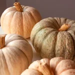 Calabazas - Imagen 5