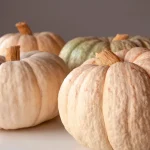 Calabazas - Imagen 4