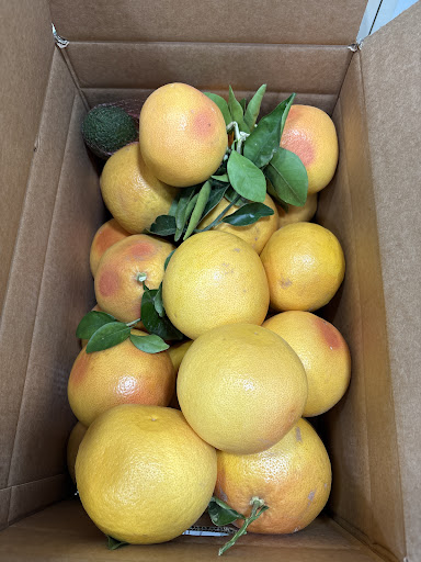 Photo from customer review