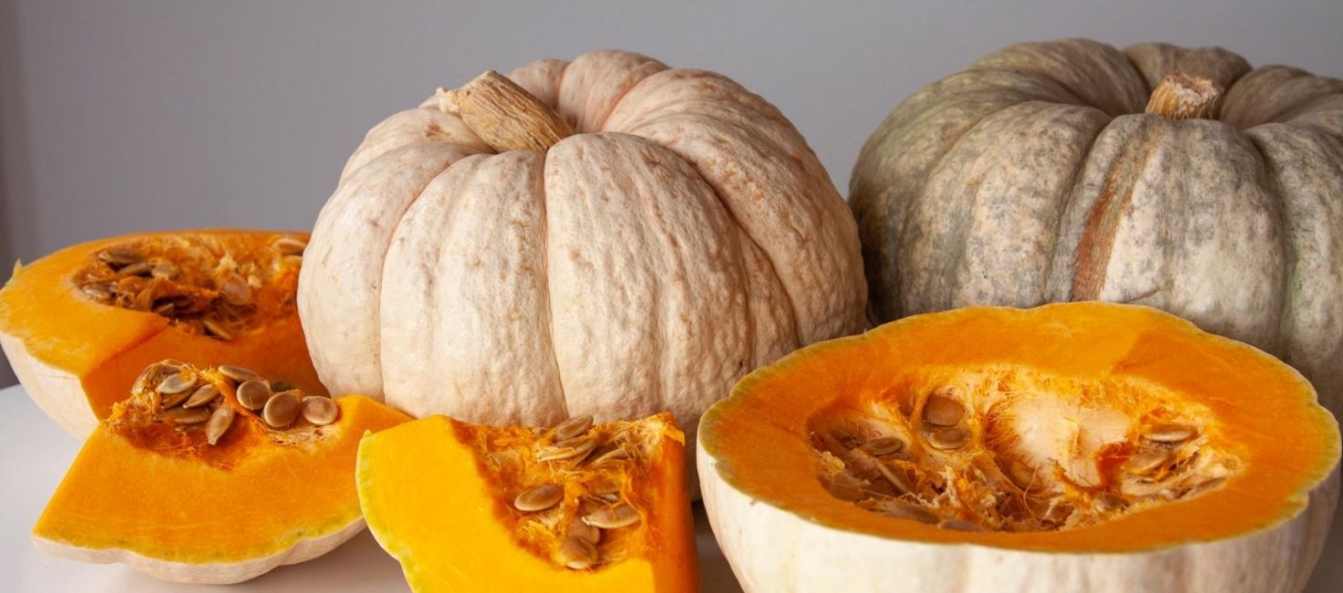 Comprar Calabazas para Halloween