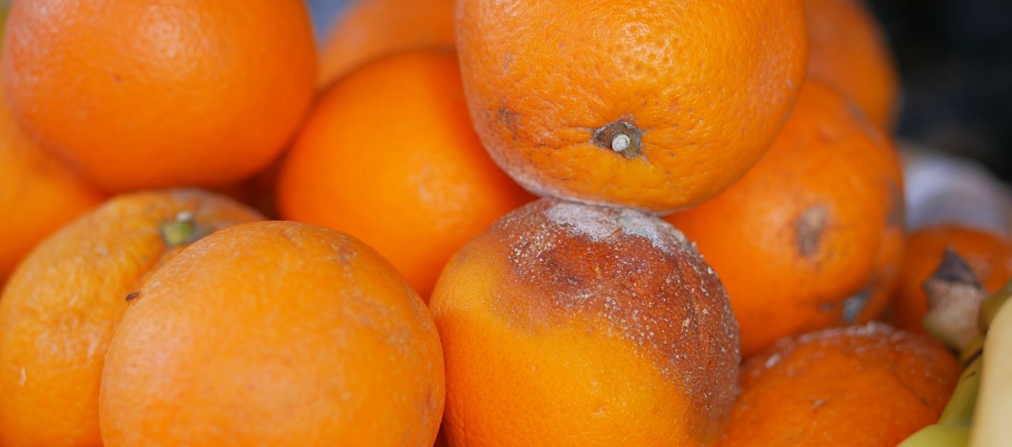 Trucos para conservar frutas y verduras y mantenerlas frescas por más tiempo