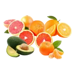 Caja Mitxa de Temporada