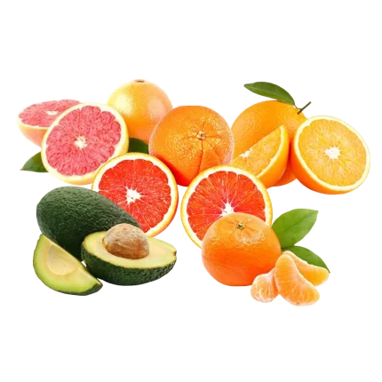 Caja Mitxa de Temporada